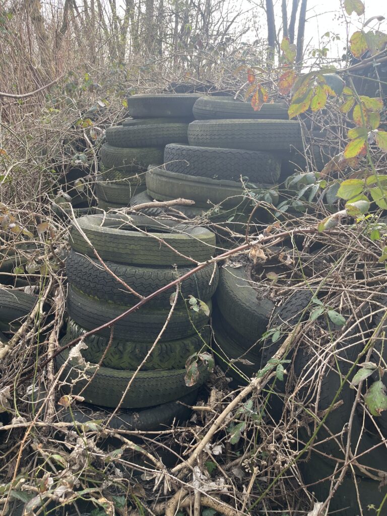 A pile of old, black rubber tires stacked outdoors, partially covered by overgrown branches, vines, and dry foliage in a wooded area.